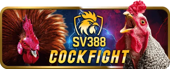 Hướng dẫn sử dụng 567tv apk toàn diện